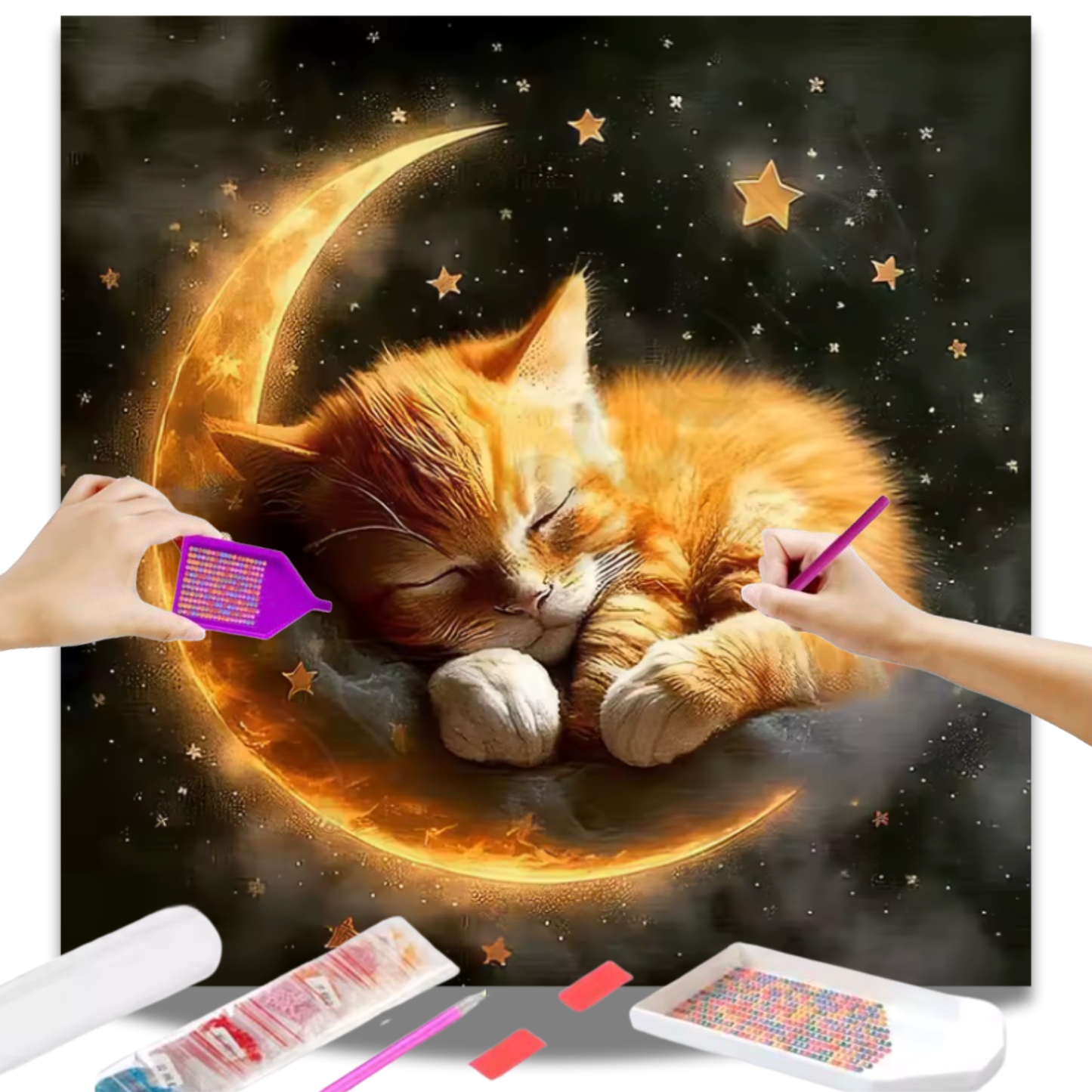 Gatinho Dormindo na Lua